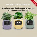 Intelligent lazy person automatic water-absorbing flowerpot