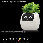 Intelligent lazy person automatic water-absorbing flowerpot